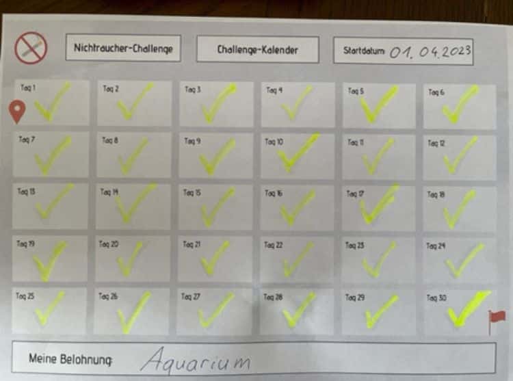Nichtraucher-Challenge Kalender mit 30 Tagen und grünen Häkchen für jeden rauchfreien Tag