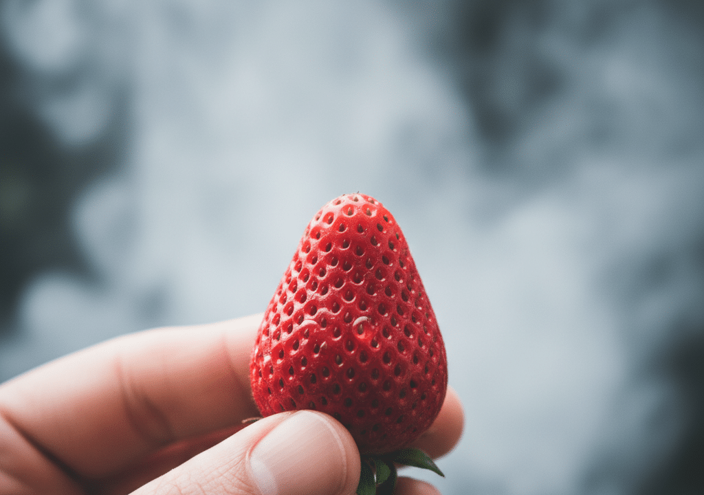 Geschmacksexplosion nach dem Rauchstopp: Entdecke deine neue Welt