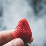 Frische Erdbeere als Symbol für den zurückkehrenden Geschmacks- und Geruchssinn nach dem Rauchstopp.